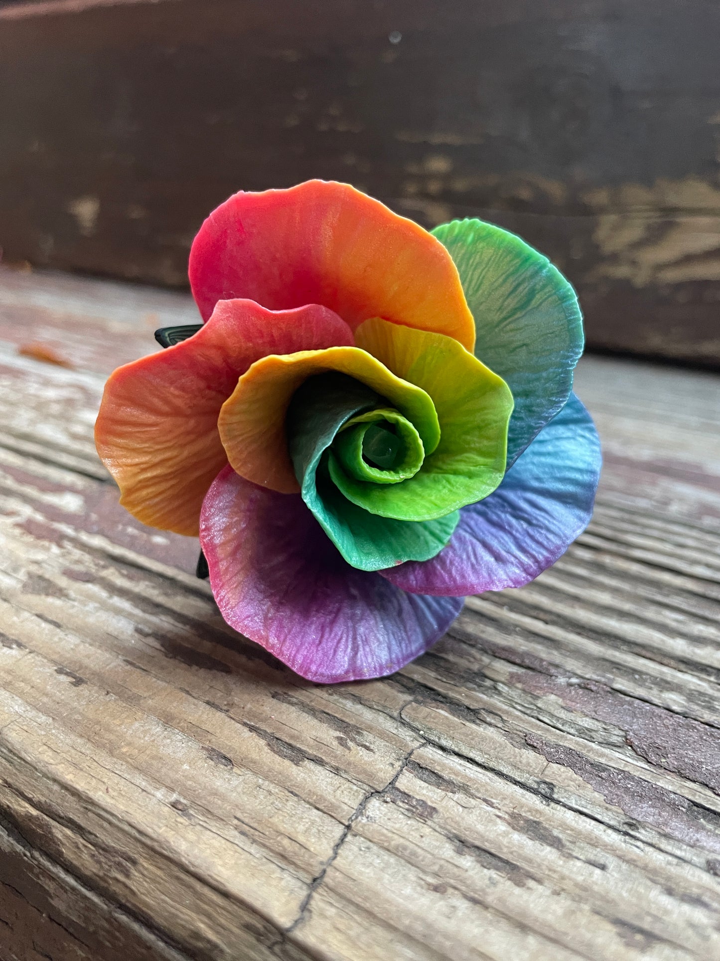 November Rainbow
