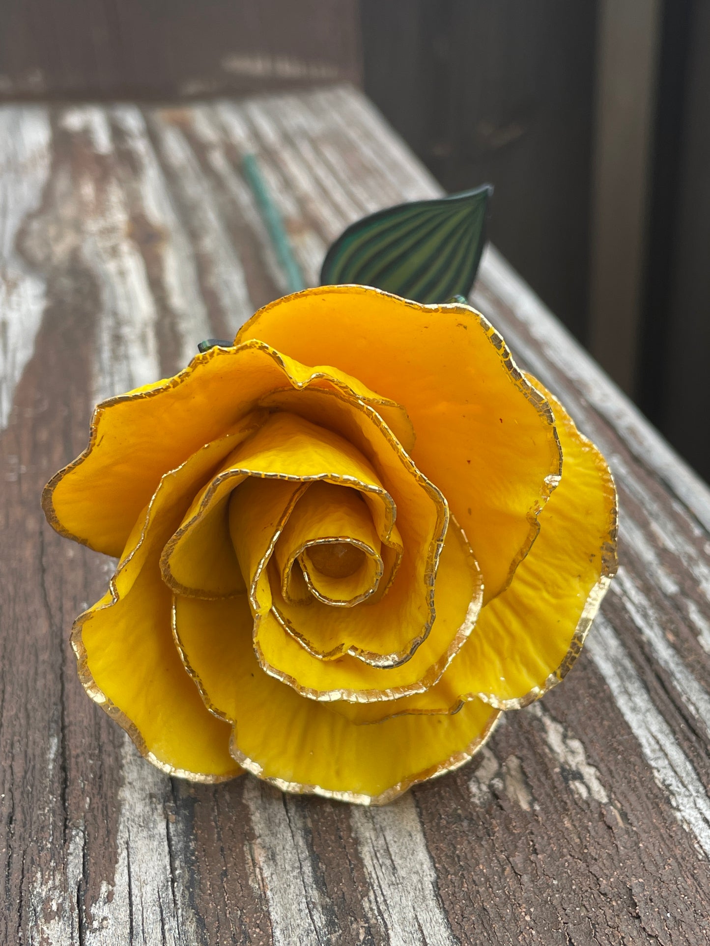 Gold Leaf Yellow Rose