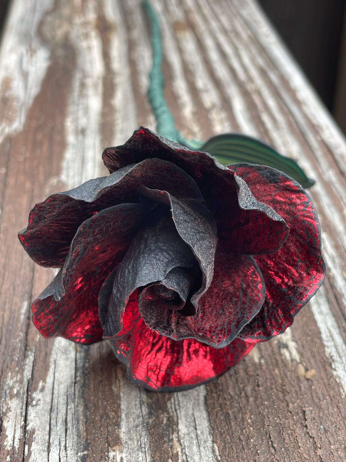 Red Leaf Rose