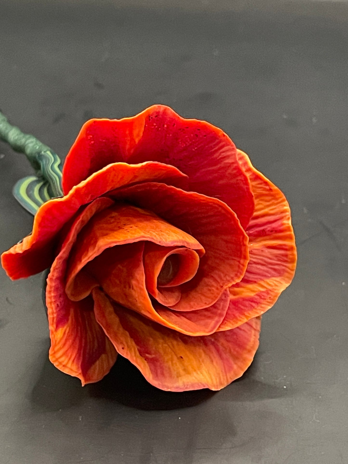Carnelian blend rose