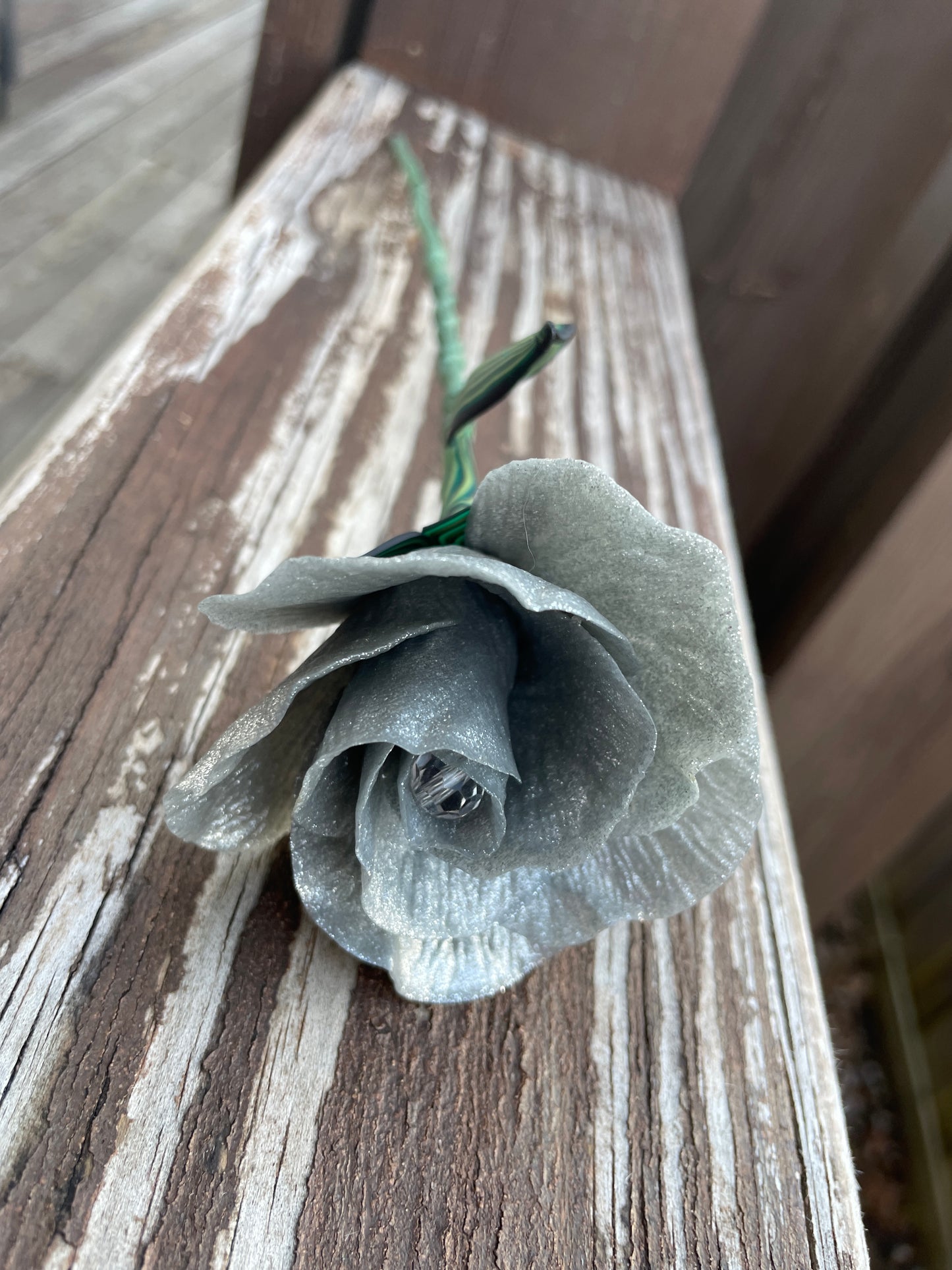 Splendid Rose