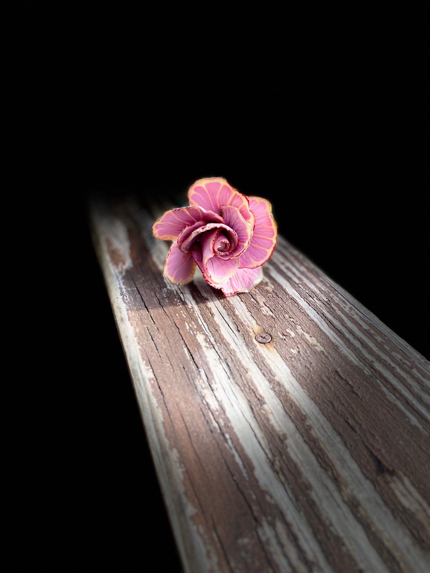 Pink Luna moth rose