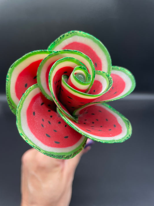 Watermelon rose