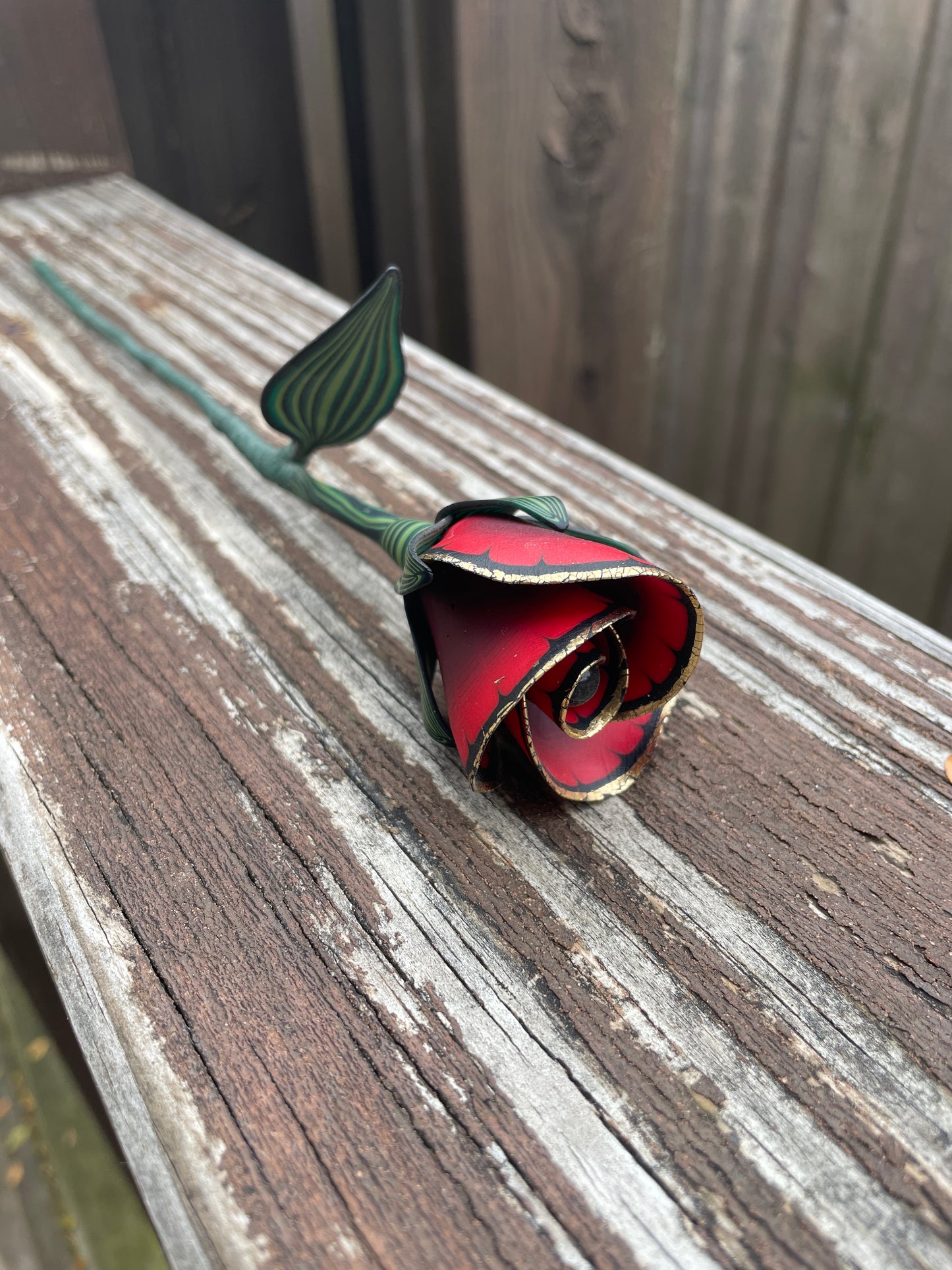 Red and Black Mafia Rosebud