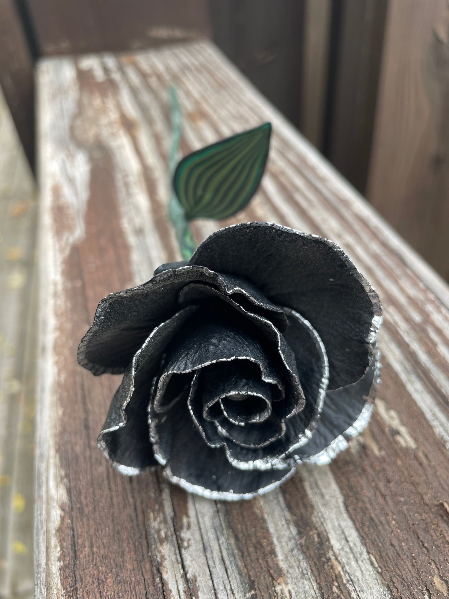 Silver Leaf Black Rose