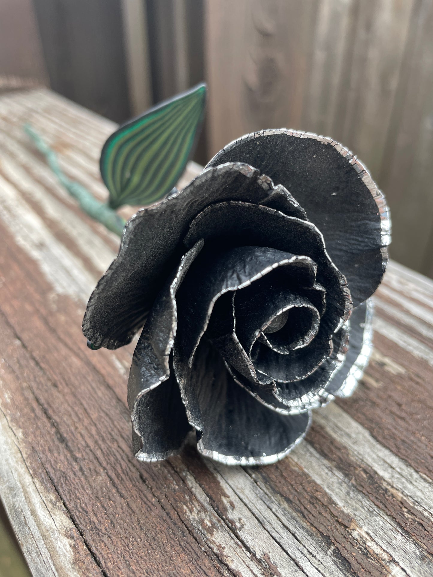 Silver Leaf Black Rose