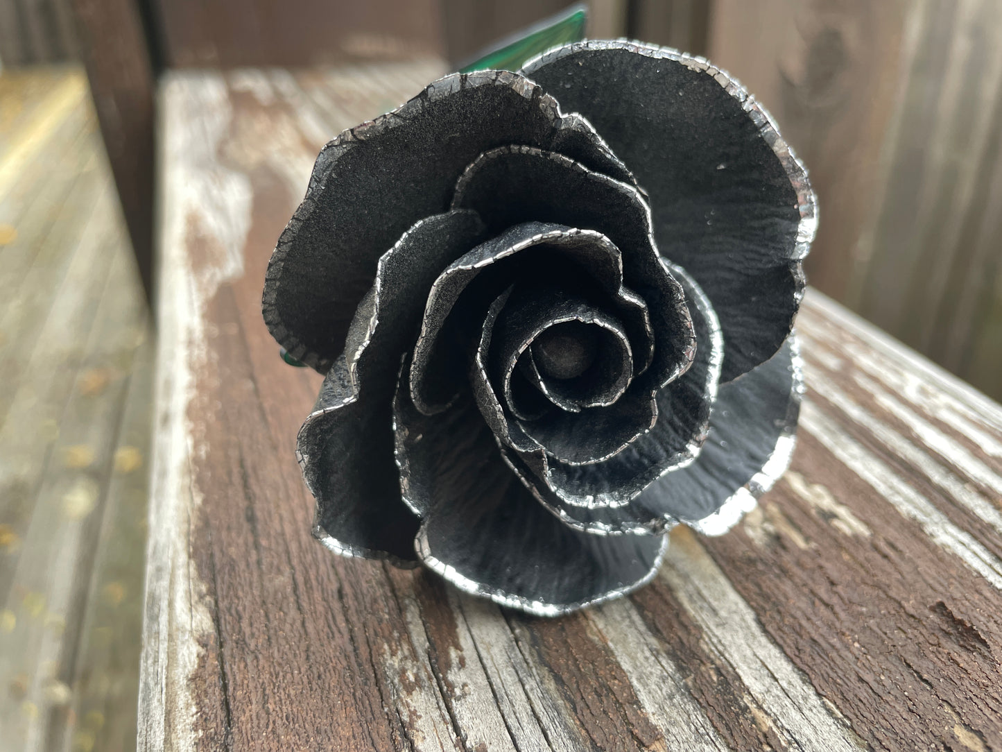 Silver Leaf Black Rose