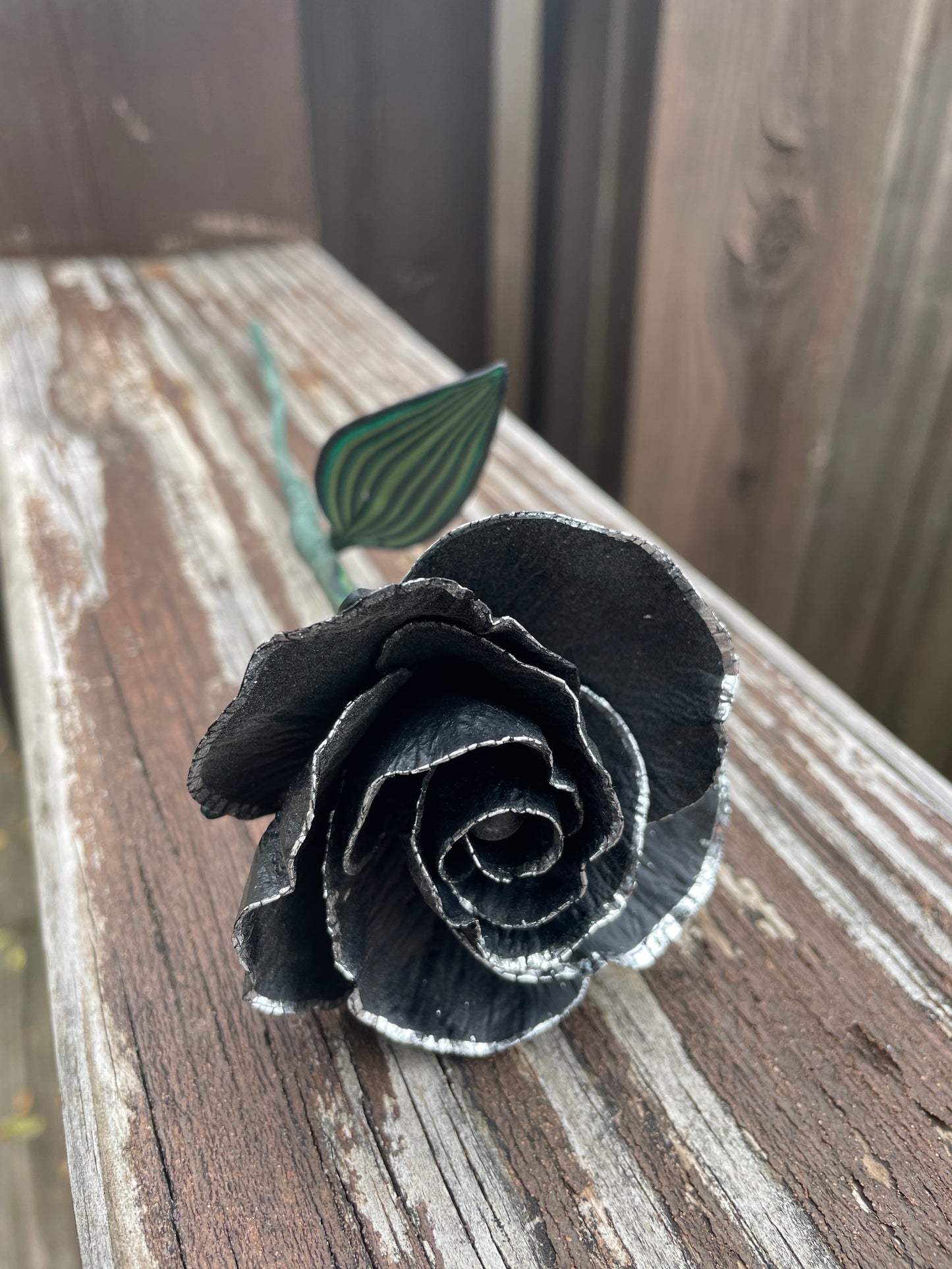 Silver Leaf Black Rose
