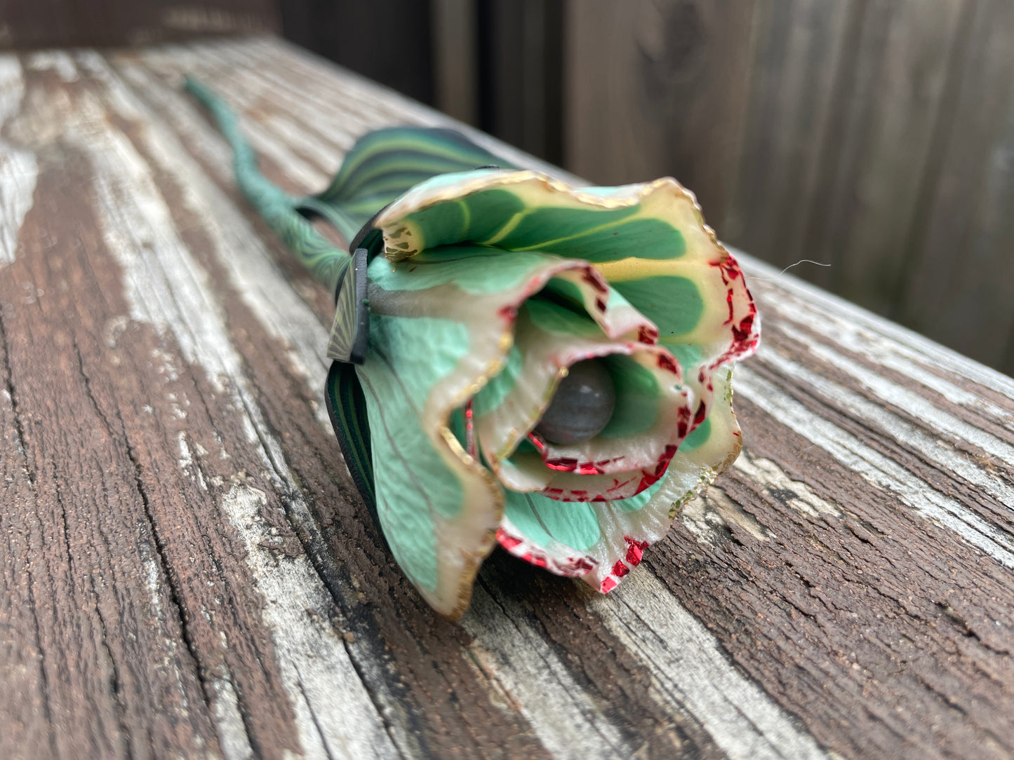 Luna Moth Rosebud