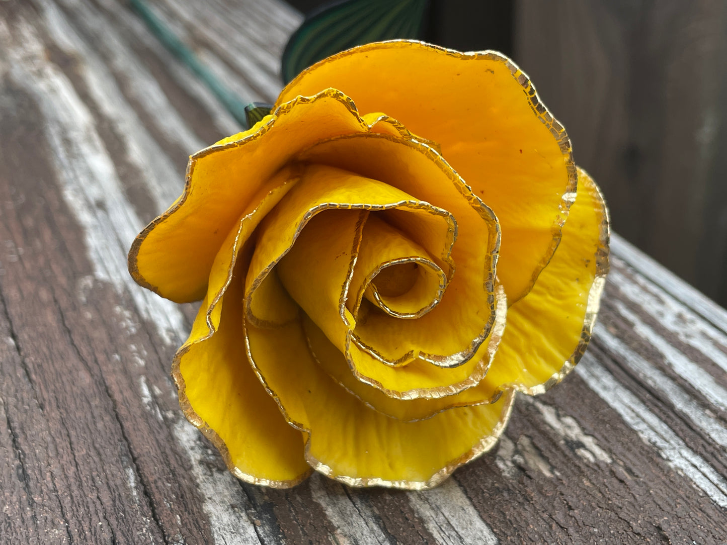 Gold Leaf Yellow Rose