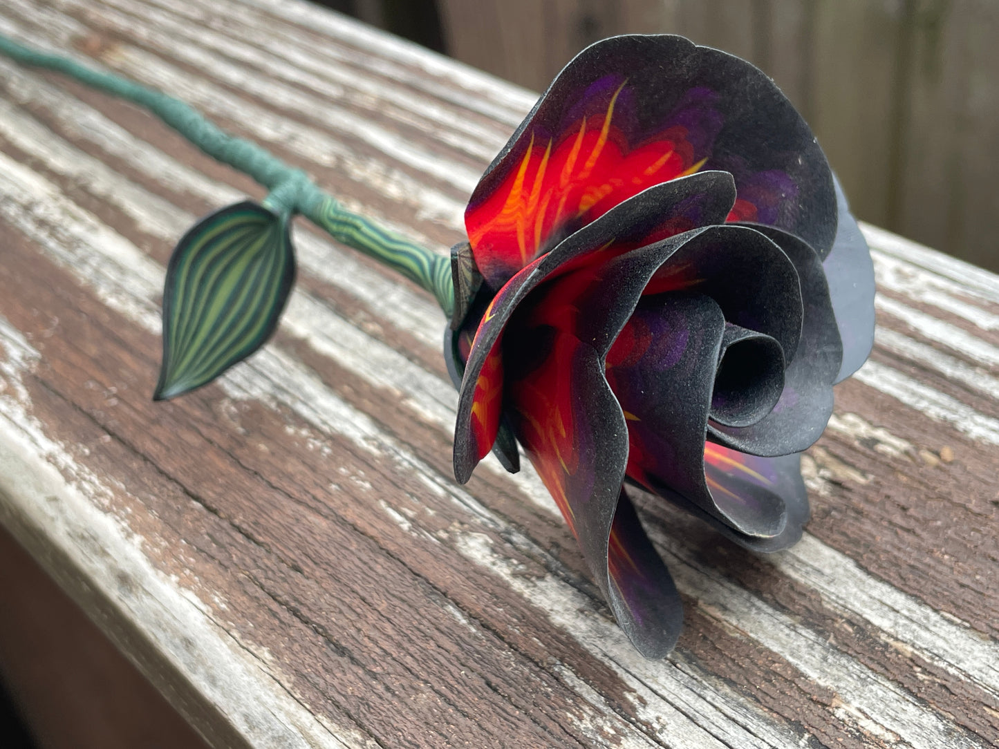 Fire Rose