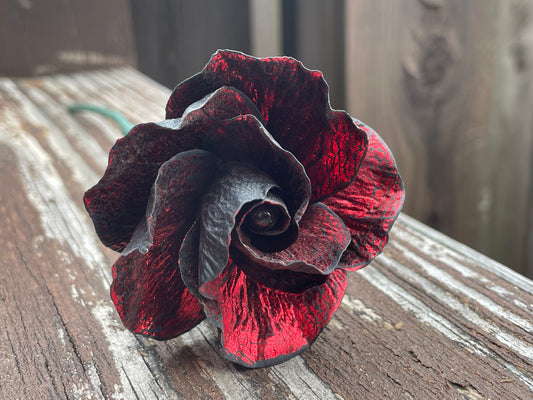 Red Leaf Rose